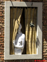 Sienne, Italie, 21 juin 2011